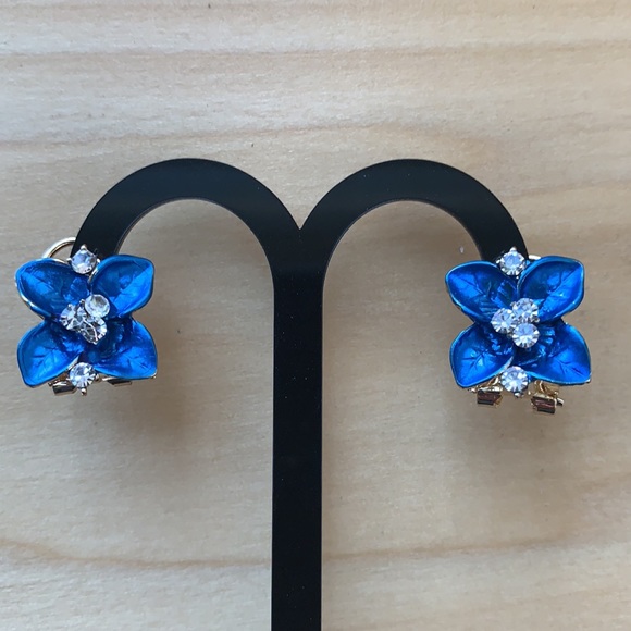 Jewelry - Beautiful blue earrings
